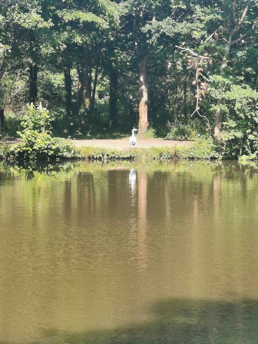 Sam's Chippy Photos 2